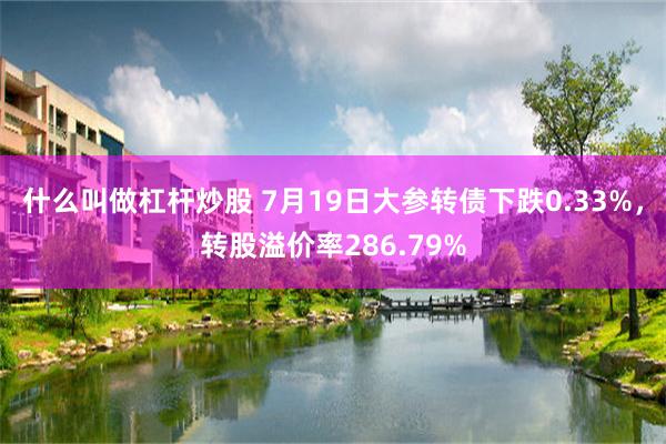 什么叫做杠杆炒股 7月19日大参转债下跌0.33%，转股溢价率286.79%