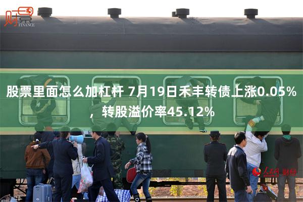 股票里面怎么加杠杆 7月19日禾丰转债上涨0.05%，转股溢价率45.12%