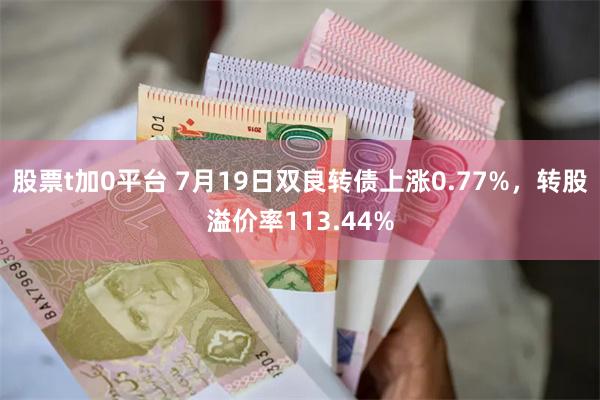 股票t加0平台 7月19日双良转债上涨0.77%，转股溢价率113.44%