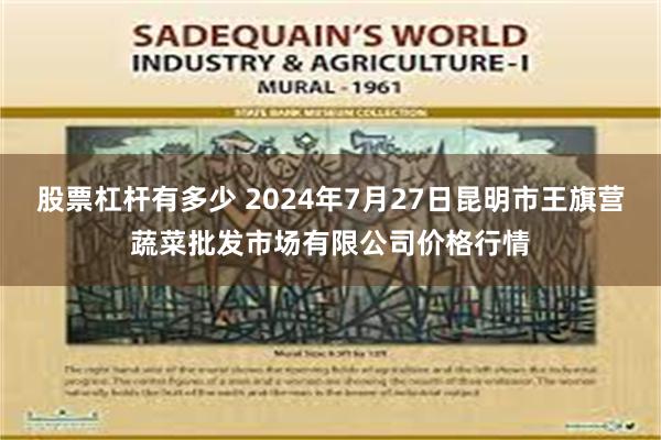 股票杠杆有多少 2024年7月27日昆明市王旗营蔬菜批发市场有限公司价格行情