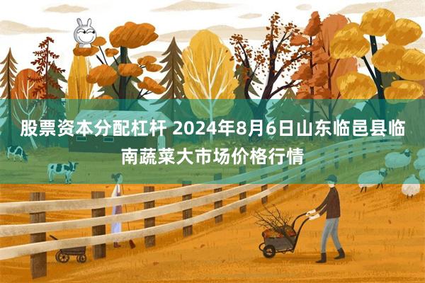 股票资本分配杠杆 2024年8月6日山东临邑县临南蔬菜大市场价格行情