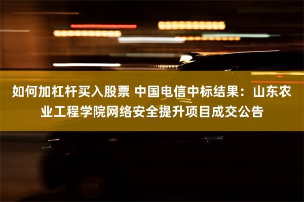 如何加杠杆买入股票 中国电信中标结果：山东农业工程学院网络安全提升项目成交公告