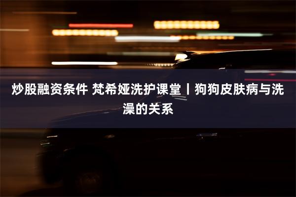 炒股融资条件 梵希娅洗护课堂丨狗狗皮肤病与洗澡的关系