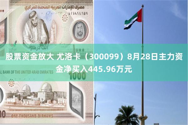 股票资金放大 尤洛卡（300099）8月28日主力资金净买入445.96万元