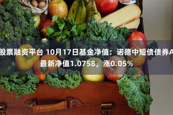 股票融资平台 10月17日基金净值：诺德中短债债券A最新净值1.0758，涨0.05%