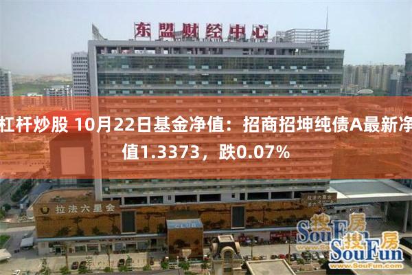 杠杆炒股 10月22日基金净值：招商招坤纯债A最新净值1.3373，跌0.07%