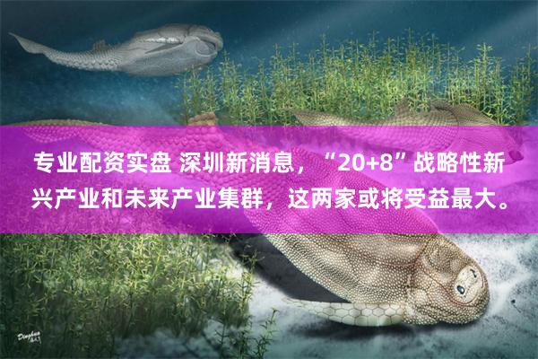 专业配资实盘 深圳新消息，“20+8”战略性新兴产业和未来产业集群，这两家或将受益最大。