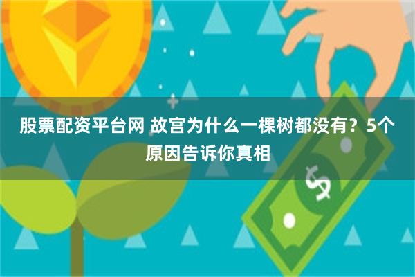 股票配资平台网 故宫为什么一棵树都没有？5个原因告诉你真相