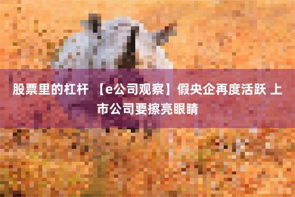 股票里的杠杆 【e公司观察】假央企再度活跃 上市公司要擦亮眼睛