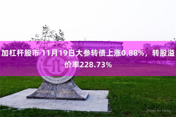 加杠杆股市 11月19日大参转债上涨0.88%，转股溢价率228.73%