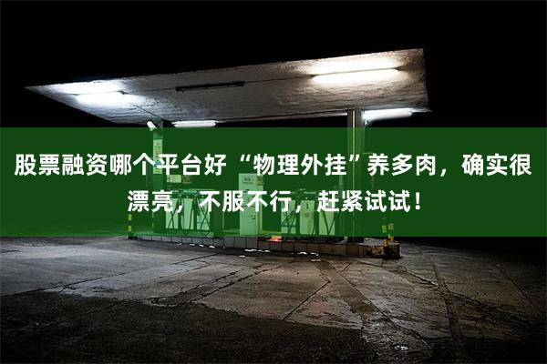 股票融资哪个平台好 “物理外挂”养多肉，确实很漂亮，不服不行，赶紧试试！