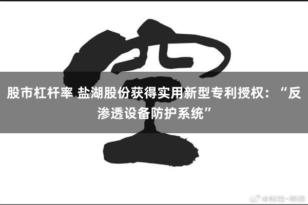 股市杠杆率 盐湖股份获得实用新型专利授权：“反渗透设备防护系统”