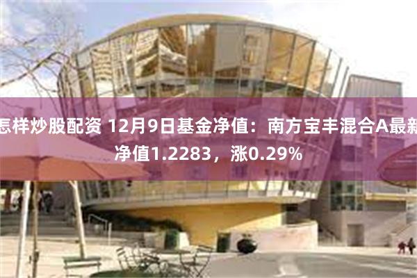 怎样炒股配资 12月9日基金净值：南方宝丰混合A最新净值1.2283，涨0.29%