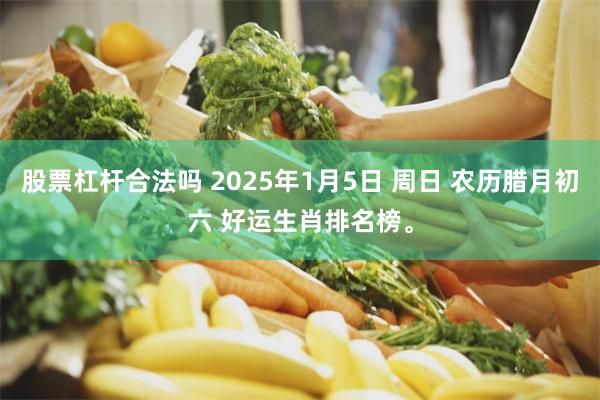 股票杠杆合法吗 2025年1月5日 周日 农历腊月初六 好运生肖排名榜。