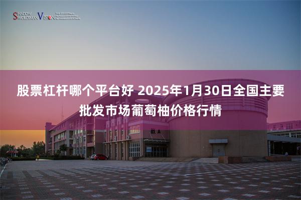 股票杠杆哪个平台好 2025年1月30日全国主要批发市场葡萄柚价格行情