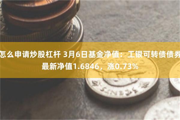 怎么申请炒股杠杆 3月6日基金净值：工银可转债债券最新净值1.6846，涨0.73%