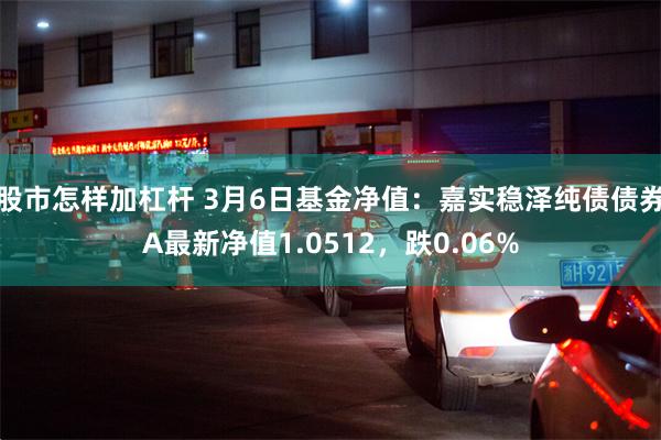 股市怎样加杠杆 3月6日基金净值：嘉实稳泽纯债债券A最新净值1.0512，跌0.06%