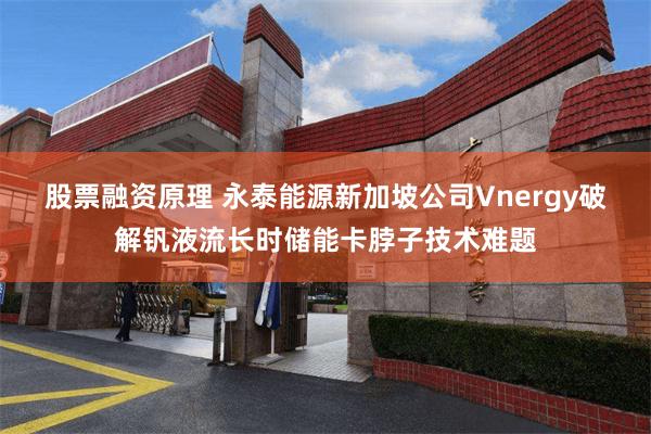 股票融资原理 永泰能源新加坡公司Vnergy破解钒液流长时储能卡脖子技术难题